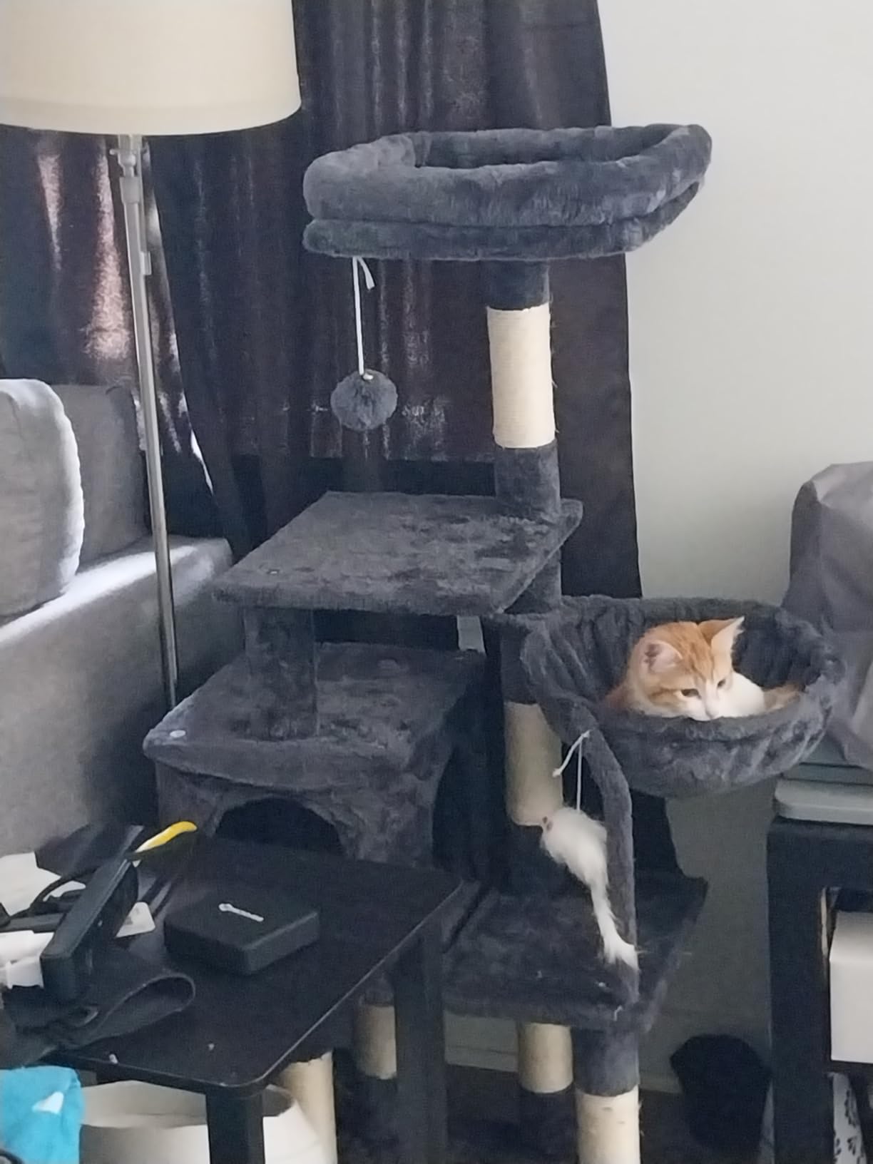 Heybly Cat Tree with Toy, 43.3 inch Cat Tower for Indoor Cats HCT004SG customer photo 1