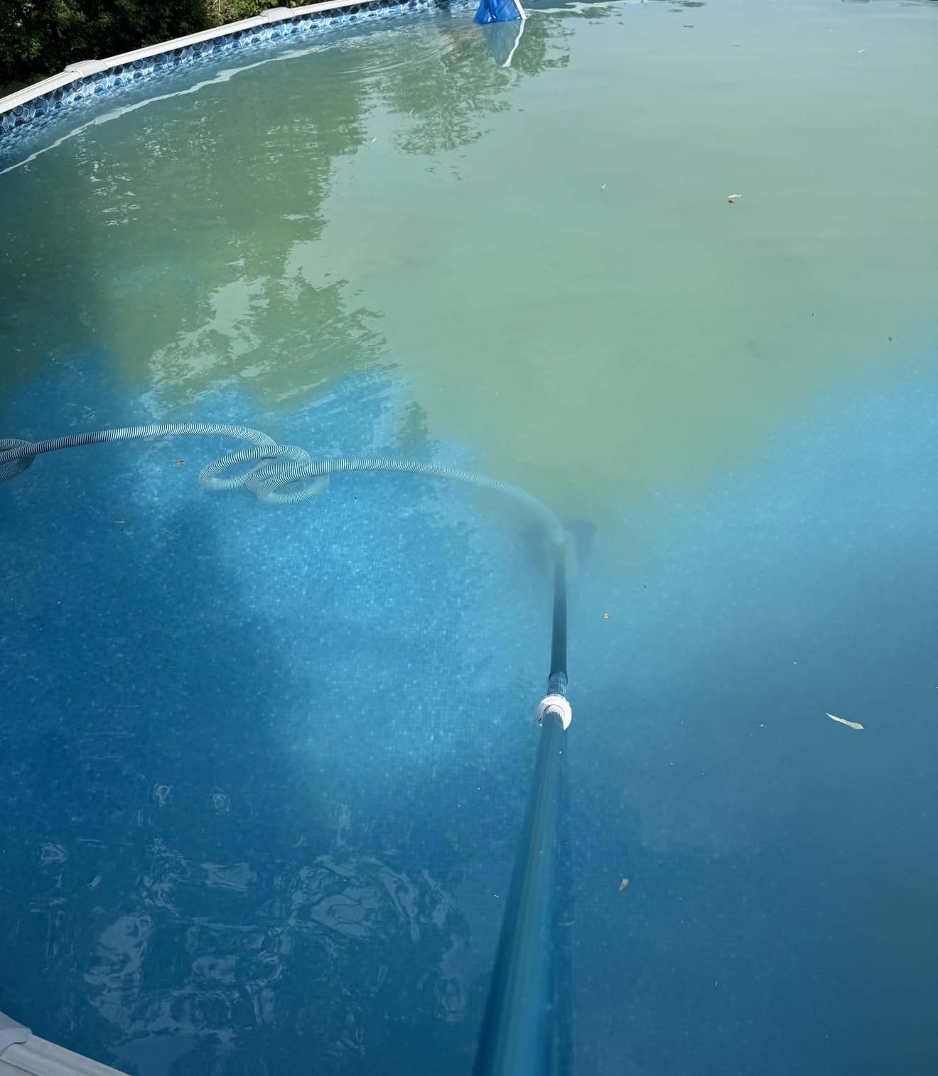 POOLWHALE Above Ground Pool Vacuum with Hose, 1-1/2 In x 24-Feet customer photo 2