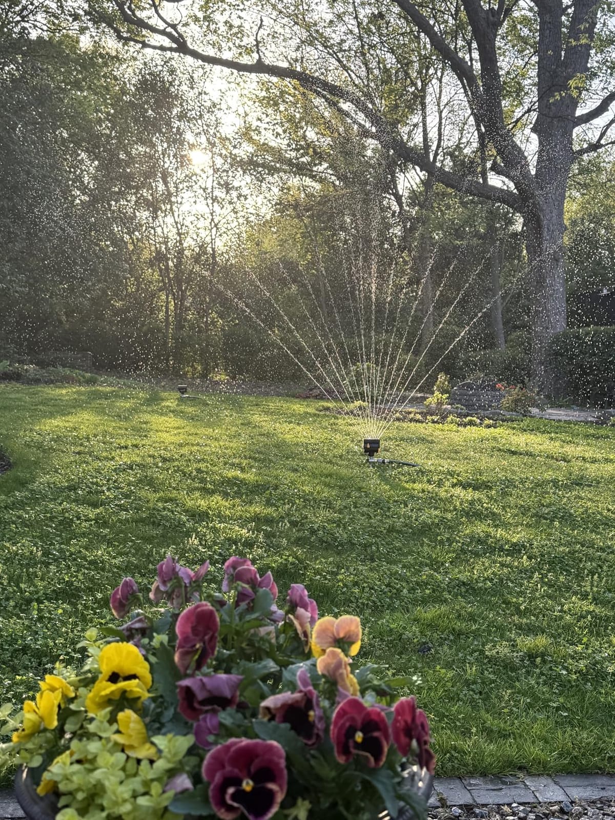 Melnor MiniMax Spike Sprinkler, 4000 Sq Ft: 360°, Flow, Width, Range Adjust customer photo 1