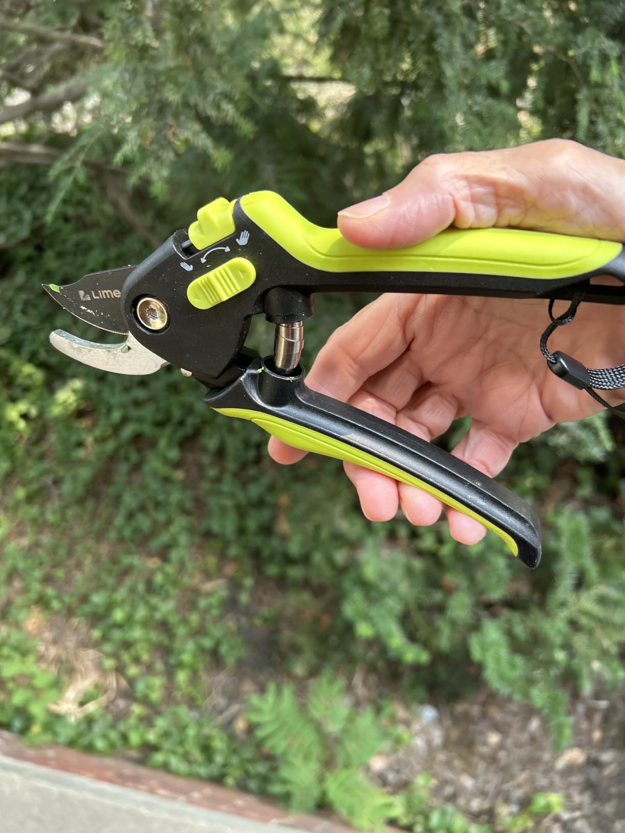 Ultra Sharp Japanese Steel Pruning Shears - Cuts 3X Easier, Weak Hand Arthritis Clippers, Rust-Resistant Titanium Coated Pruner, Effortlessly Cuts 3/4 Inch customer photo 2