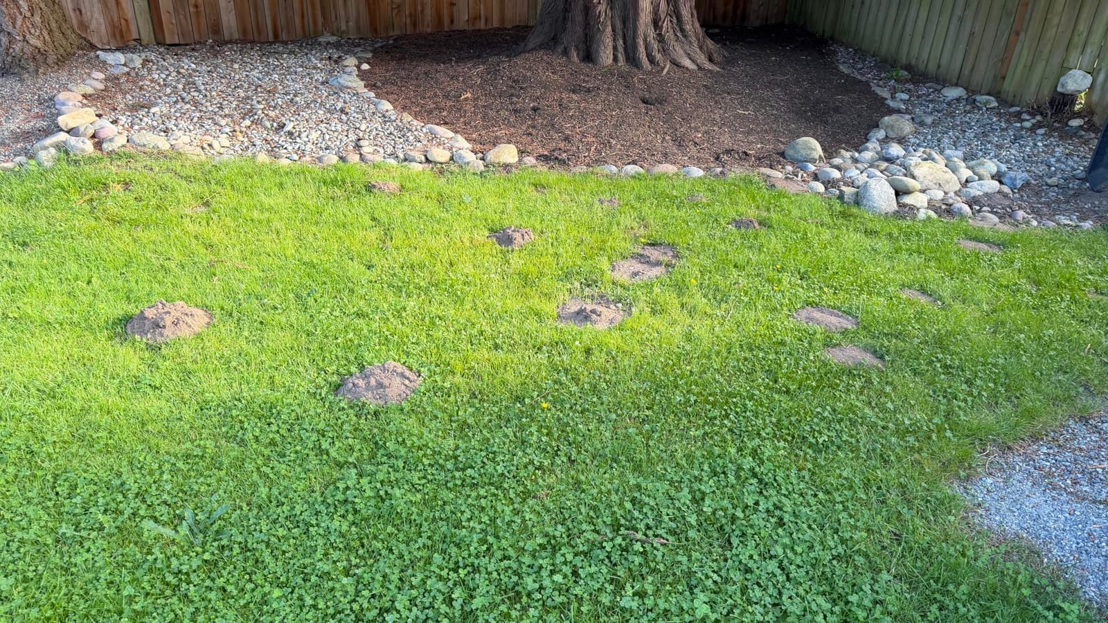 PetraMax Castor Oil Mole Repellent for Lawns - Best Anti Mole and Vole Repellent of Outdoor Space - How to Get Rid of Moles in My Yard, Garden Or Lawn, Safe and Effective Vole Deterrent (33.8 fl oz) customer photo 2