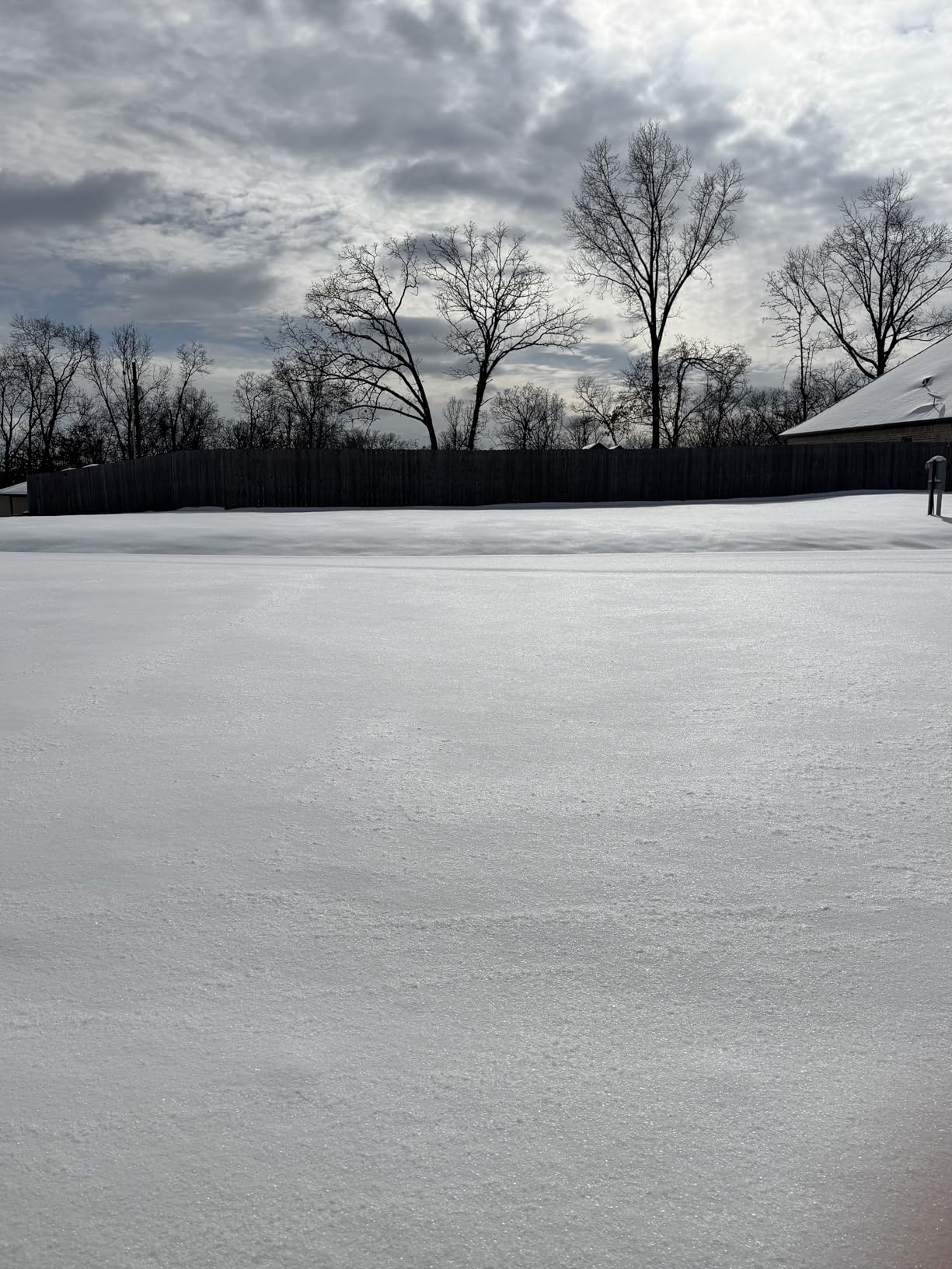 WEN 20V Max 12-Inch Cordless Snow Shovel with 5Ah Battery and Charger (20720) customer photo 2