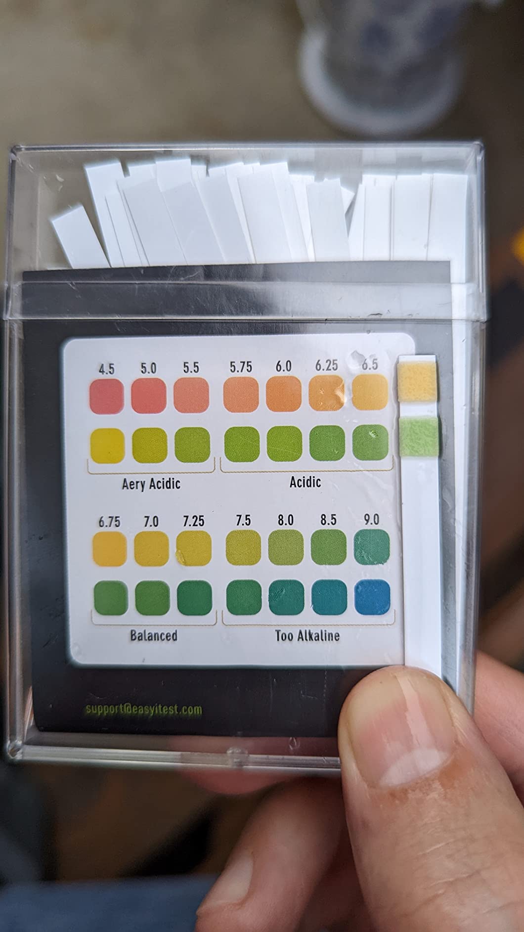 EASYTEST Saltwater Pool Test Strips, 0-8000 ppm, 25 Count customer photo 2