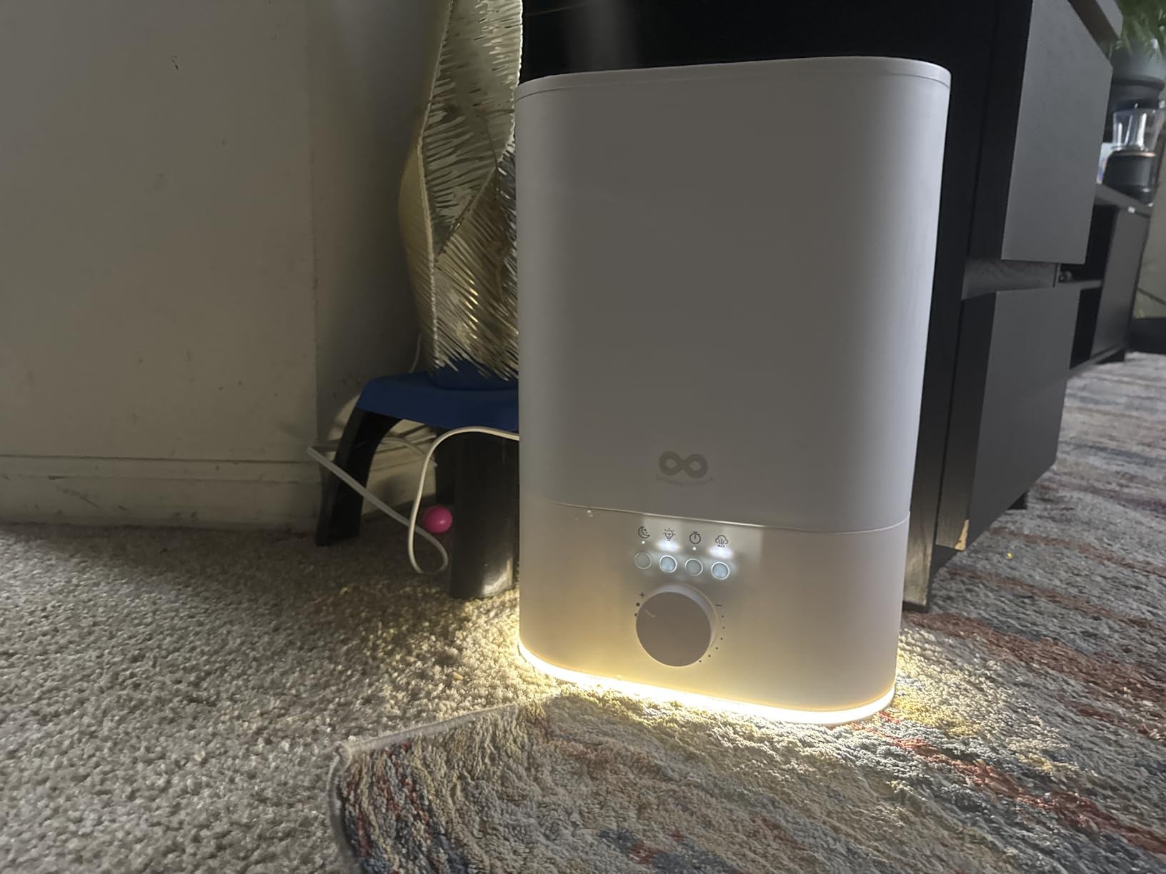 Everlasting Comfort 6L Large Humidifier for Bedroom, 28 dB Cool Mist customer photo 1