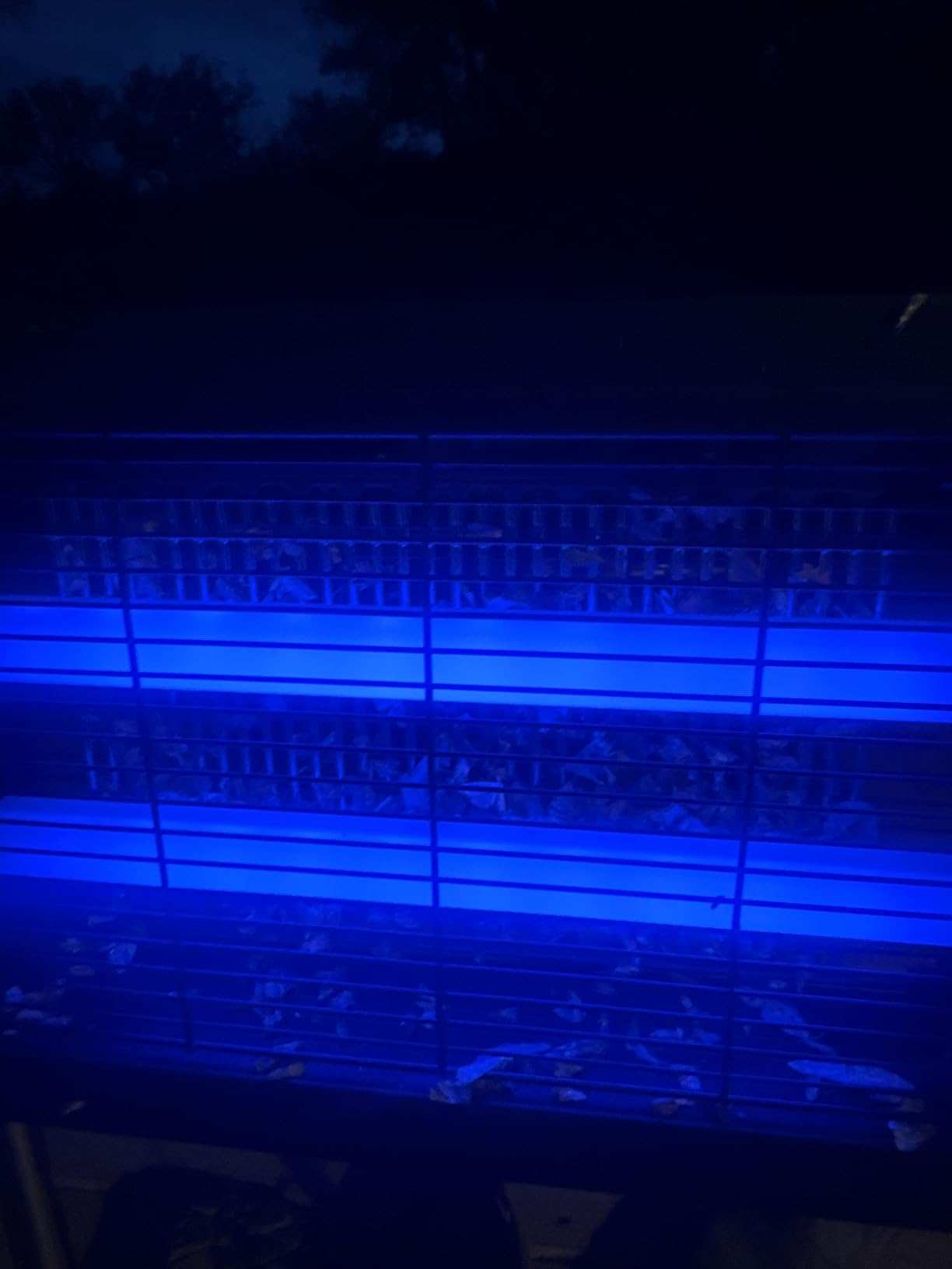 Solar Bug Zapper, 4500V Electric Grid Mosquito Killer for Patio customer photo 1