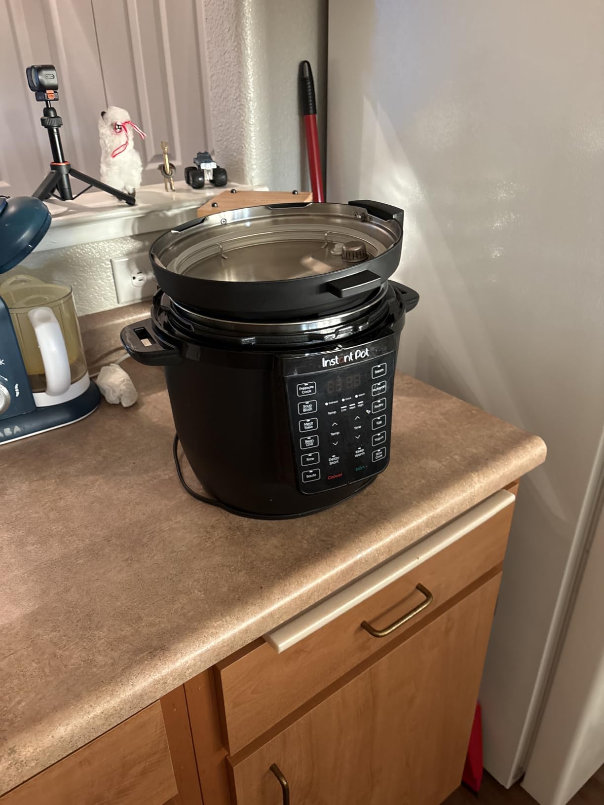 Instant Pot 6QT RIO 7-in-1 Multi-Cooker, Pressure Cooker, Slow cook, Sauté, Steam, Rice Maker, Yogurt, & Warmer, Sea Salt, 6 Quarts customer photo 1