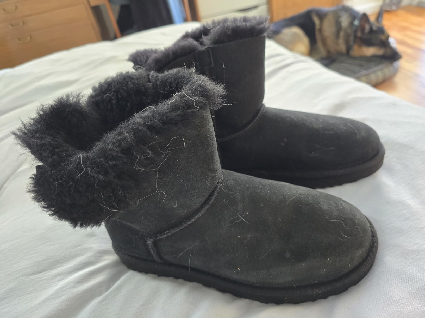 UGG Women's Mini Bailey Bow II Boot customer photo 2