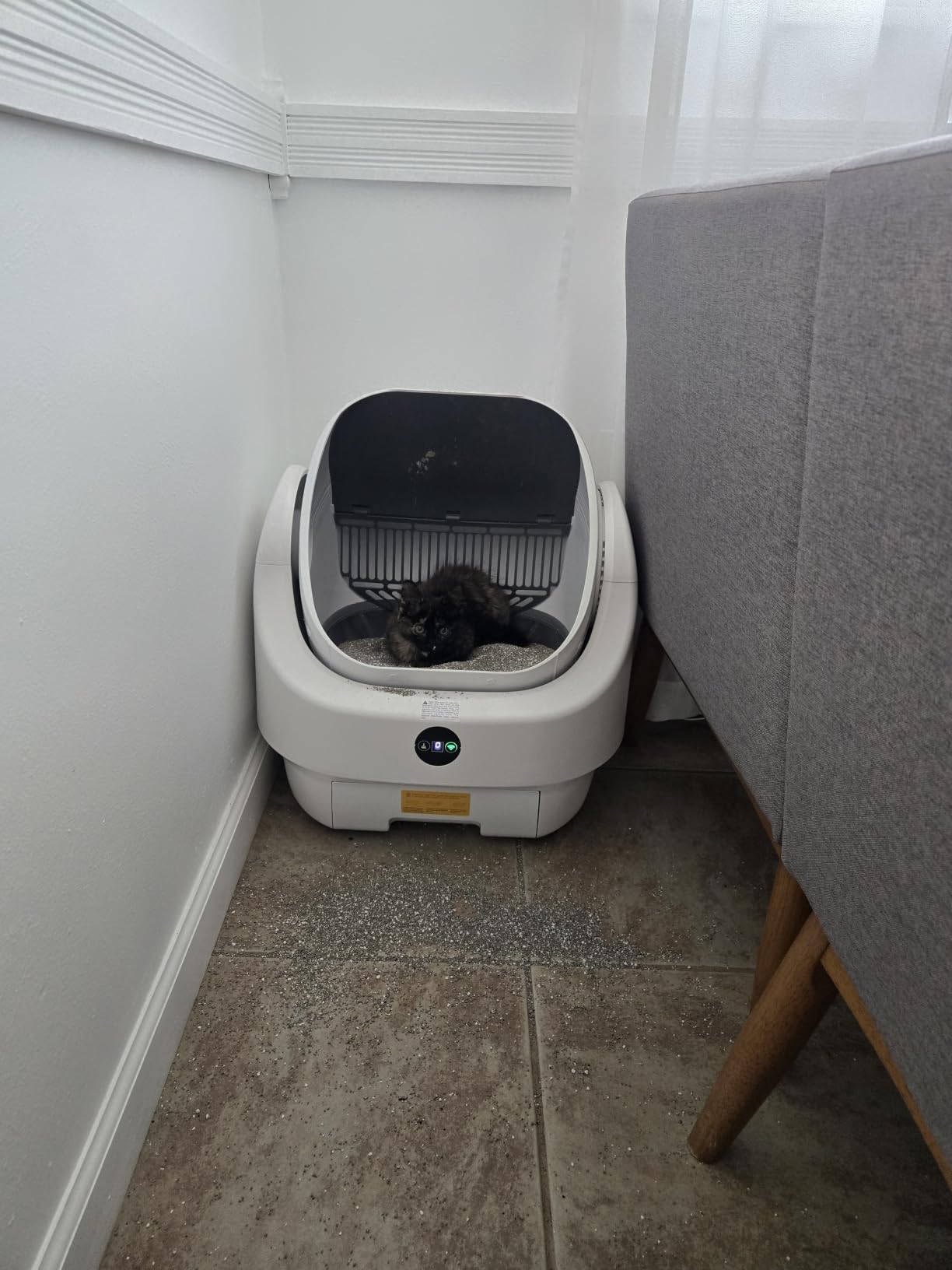 Open-Top Automatic Litter Box, Odor Control, Ready to Use, Self Cleaning customer photo 1