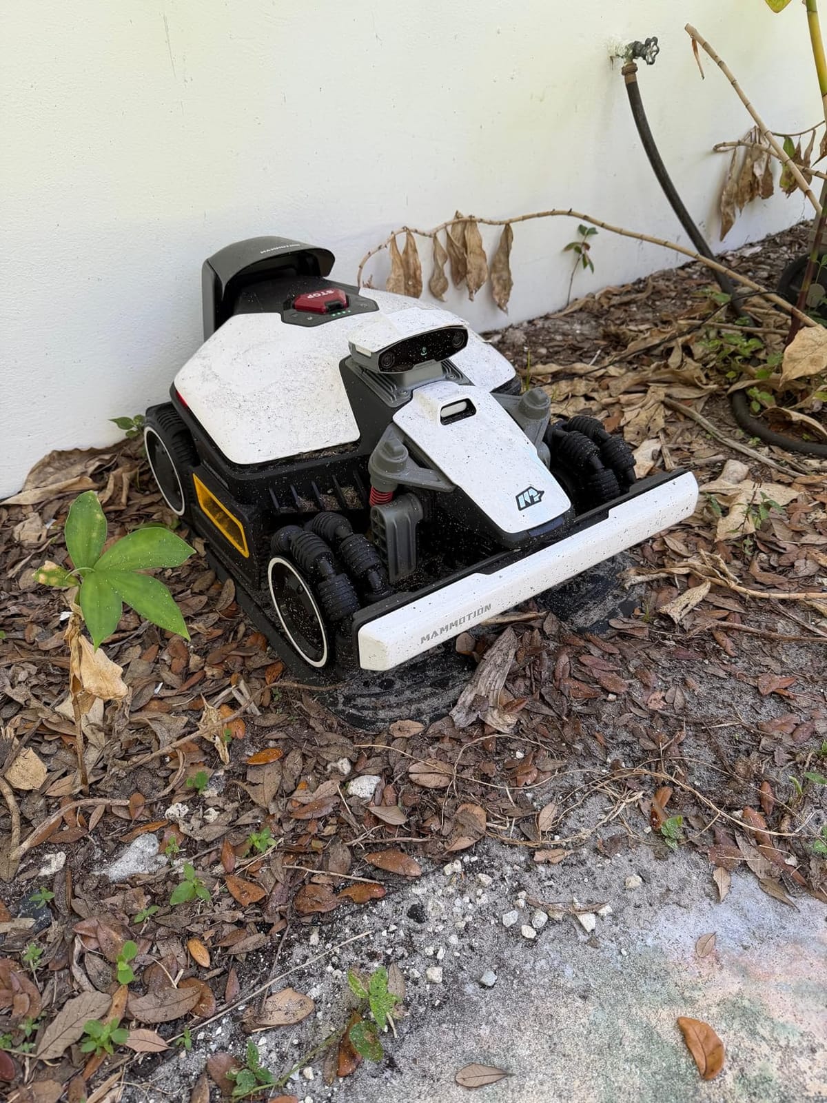 (2026 New) Mammotion LUBA mini 2 AWD 1500H Robot Lawn Mower with Cleaning Stand, for 0.37 Acres, 360° LiDAR+Dual-Camera AI Vision, 80% Slope, DropMow, 20 Multi-Zone Management customer photo 2