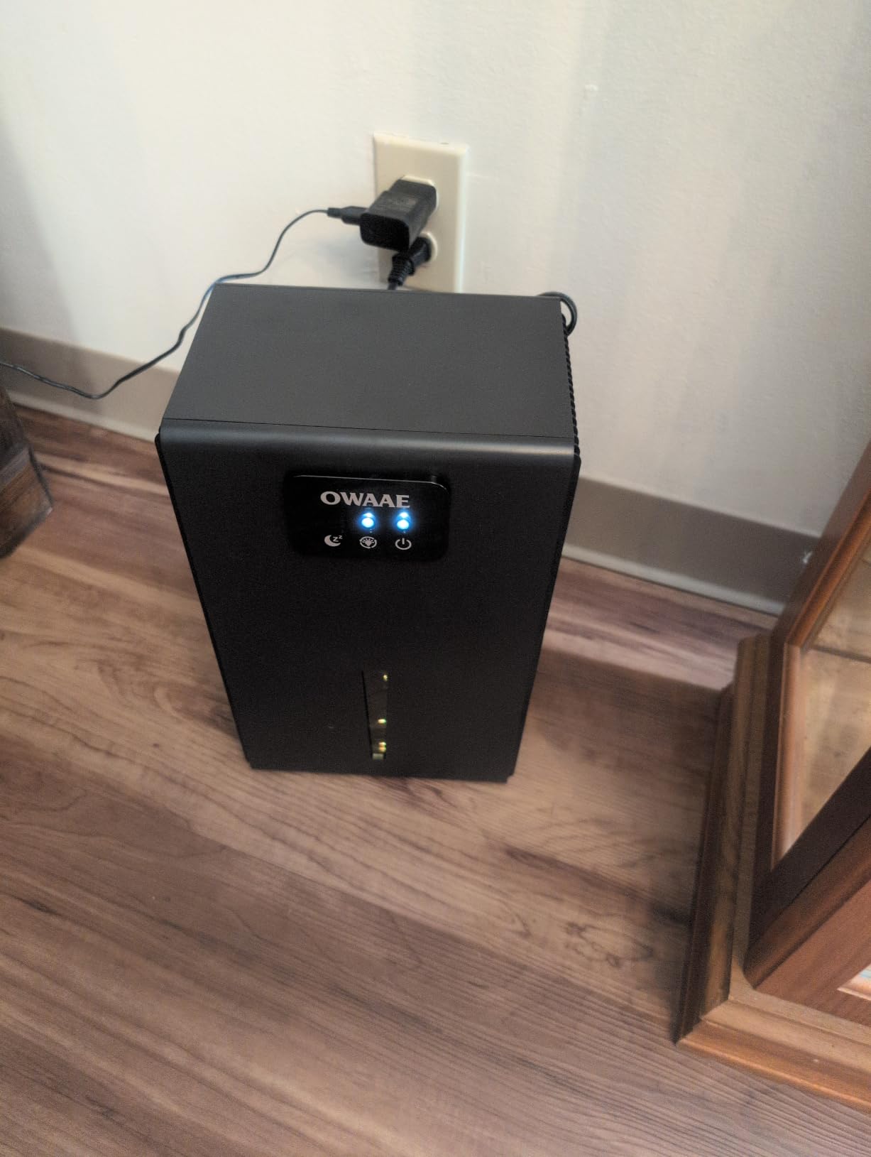 Dehumidifier for Home with Auto Shutoff Sleep Mode, 1000 Sq Ft customer photo 2