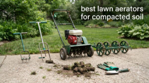best lawn aerators for compacted soil